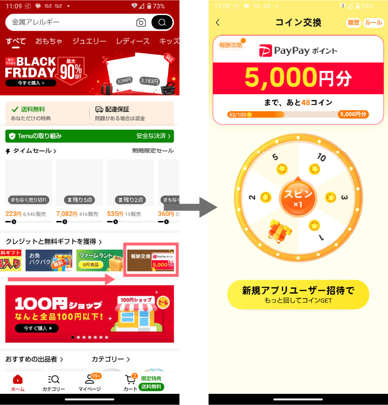 temuのpaypay5000円キャンペーンページ