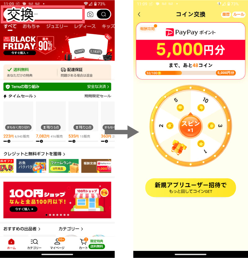 temuのpaypay5000円キャンペーンページ