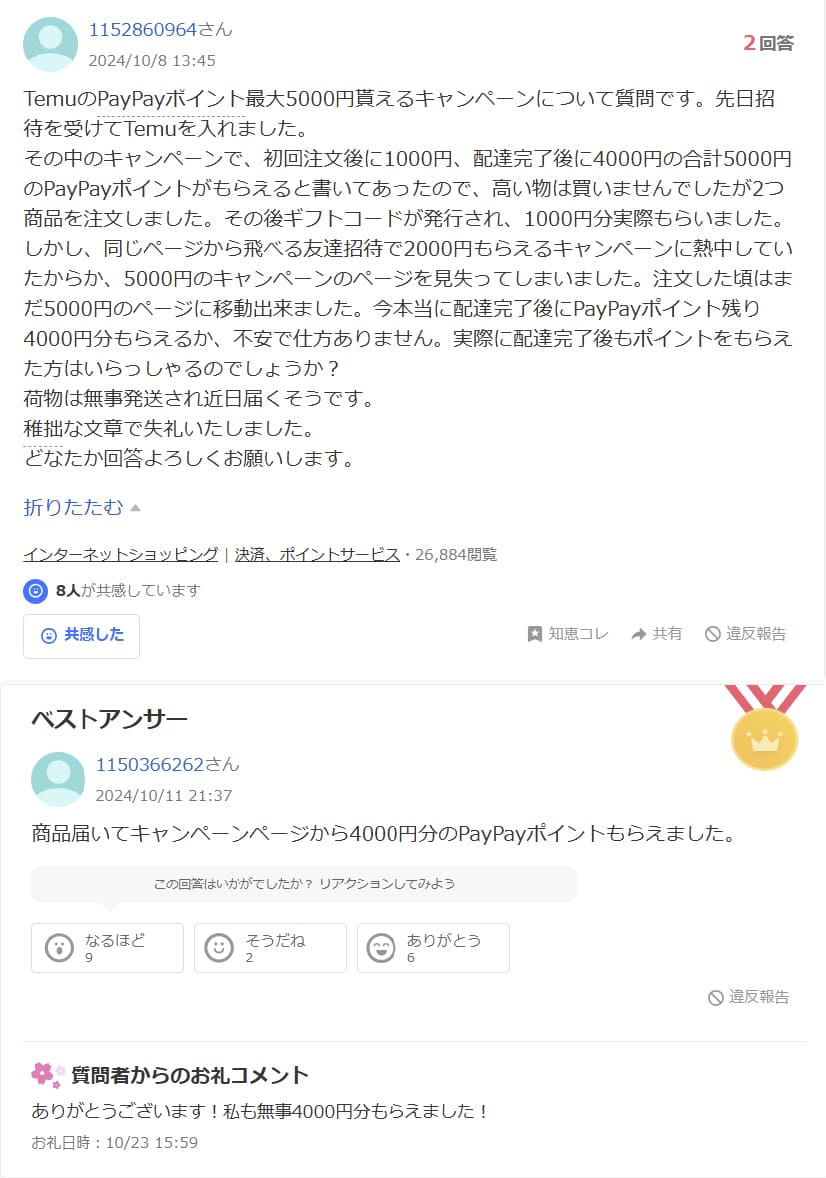 Temuキャンペーン知恵袋の内容