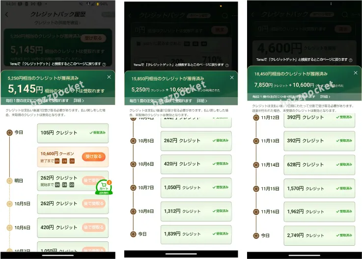Temuクレジットを実際に受け取った実績のスクショ画像
